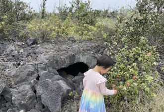 乡愁、生意与踩雷：在海外购地种田的中国人