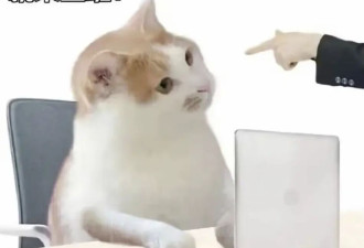 你以为的累 其实是病了