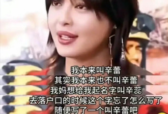 恭喜辛芷蕾，没人再笑你的野心了