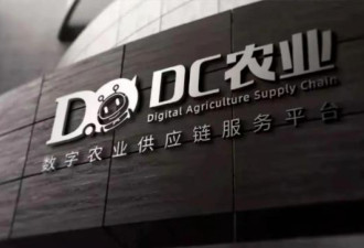 深圳大型电商“DC农业”爆雷 老板跑路