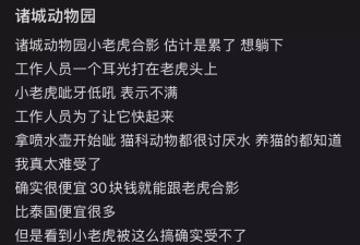 小老虎躺地上被工作人员打头呲水，令其站起来与游客拍照？