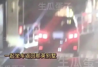 那英老公被曝出轨！视频曝光紧搂美女吃饭，饭后还回那英别墅约会
