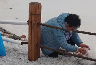 游客成袋装走茶卡盐湖铺路的盐？景区：确有此事