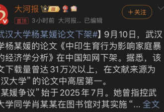 杨某媛论文突然被下架:武汉大学一些人 要倒霉了