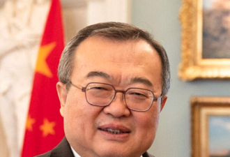 坐实！高级外交官已“出事” 中共正严查这类人