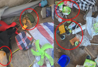 28岁单亲妈妈倒在出租屋，2岁幼童伴母遗体数日