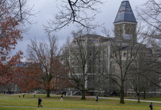 纽约康奈尔大学两学生猎杀黑熊 宿舍内剥皮分解