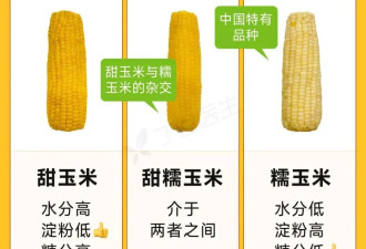 一种易长胖、巨升糖的粗粮，你最爱吃