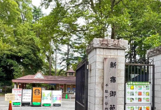 赴日旅行日记（十二）新宿御苑