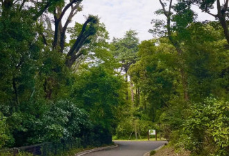 赴日旅行日记（十二）新宿御苑