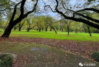 赴日旅行日记（十二）新宿御苑