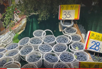 外国“水果贵族” 集体沦为中国土特产