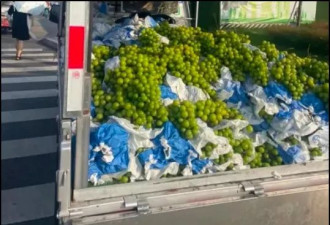 外国“水果贵族” 集体沦为中国土特产