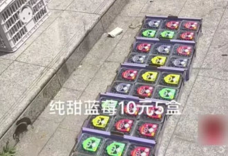 外国“水果贵族” 集体沦为中国土特产