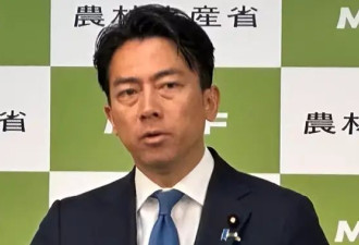 小泉进次郎基本确定参选日本自民党总裁