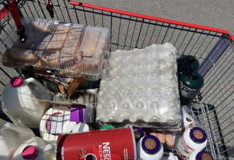 来加拿大这一年, 慢慢适应…