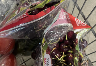 来加拿大这一年, 慢慢适应…