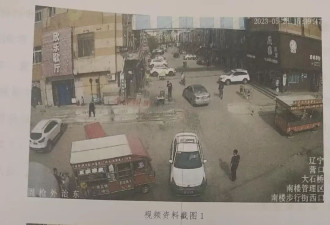 14岁男孩油门当刹车撞老太致死 让其开车的雇主获刑