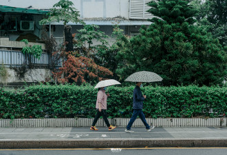 深圳巨型蜗牛泛滥 专家警告：别碰