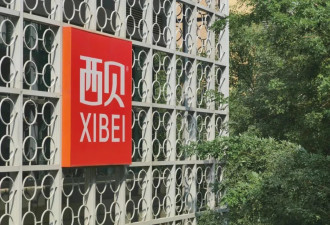对话西贝贾国龙：生意不做了也要刚到底