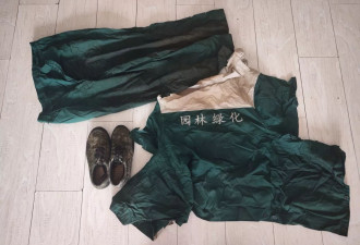 一名绿化工人，倒在东北的盛夏