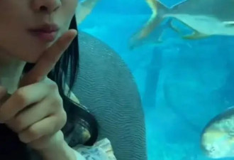 伊能静带公婆与女儿前往三亚探班,入住10万海景房