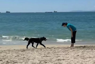 65岁郎平退休在美生活好滋润，和女儿海边遛狗