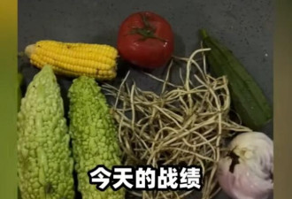 背后藏苦难，中国网络一话题走红