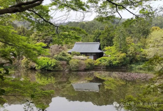 日本京都：走进龙安寺