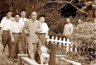 蒋介石面对国民党内贪腐枪毙多人,为何却收效甚微