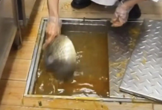 西贝员工用漏勺疏通下水道！最新回应.....