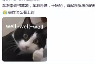李嘉格离婚,乃万接手?扒一扒著名导演车澈的争议情史