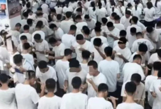 "站立就餐"争议背后:校园管理岂能如此"效率至上"