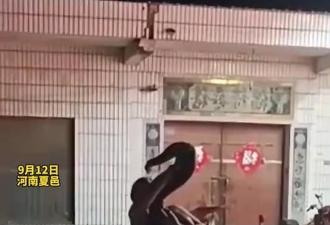 婚礼现场表演“蟒蛇亲嘴” 悲剧了
