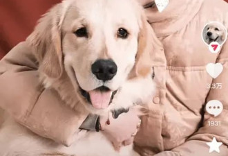 李勤勤称愿意收留于朦胧爱犬！曾收养周海媚爱犬