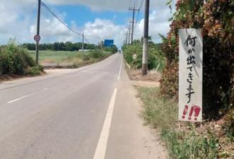路边现神秘警示牌 上面的话 却吓坏了网友