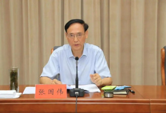 河南官宣：涉嫌严重违纪违法，张国伟主动投案