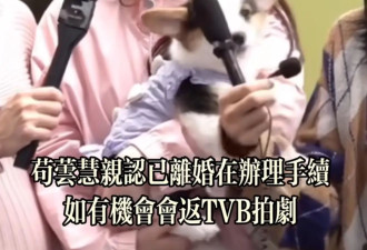 香港女星苟芸慧回应单身问题 承认已办完离婚手续表示现在很自由
