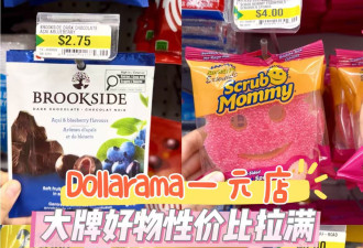一元店竟然有乐高Costco同款？超值好物合集