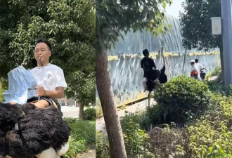 云南男子骑鸵鸟上路 速度可达80迈 网民：真正新能源