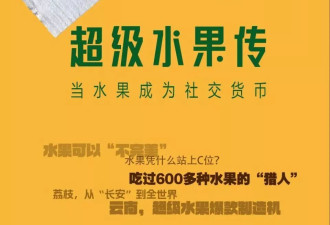 飞几千公里吃榴莲的人，上瘾了