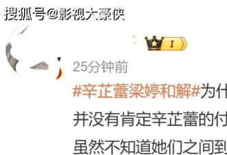 辛芷蕾和前经纪人的世纪大和解中 成毅却成意外赢家 目的太明显