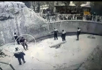 曾被母亲扔进熊舍惊险生还 女童三年后遭母斩死