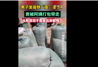 高铁坐垫被大妈“打包”拿走了? 武汉铁路回应
