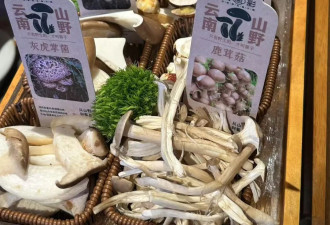 海外独生子女的情感困境与现实抉择