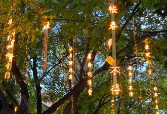 海外独生子女的情感困境与现实抉择