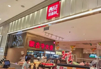 西贝回应“顾客在店内用公筷喂狗”，承认疏忽...