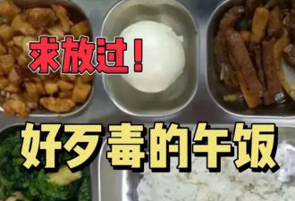 上海学生的午餐，吃出了发展中国家的纯正味道