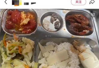 上海学生的午餐，吃出了发展中国家的纯正味道