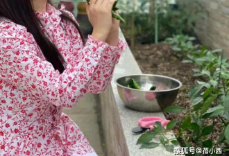 54岁杨钰莹不见老！穿碎花裙在豪宅摘菜好美，阿姨年纪却像00后！
